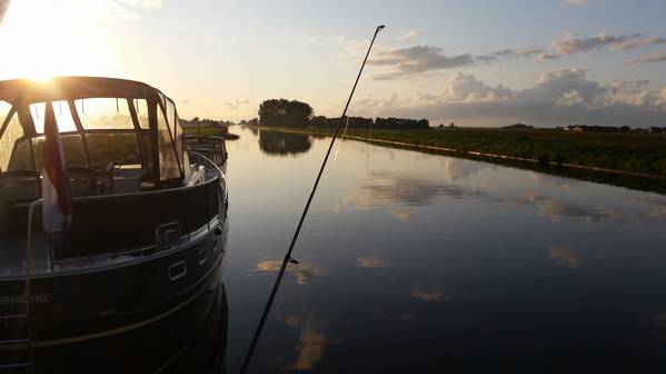 Oog in oog met een reetje