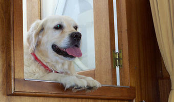 Even poseren bij de ingang naar de salon