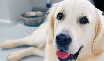 Even recht in de camera kijken. Ben ik mooi?