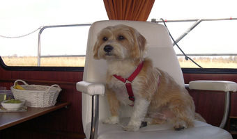 Zal ik de boot maar besturen?