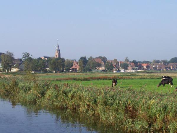 weilanden zo ver als het oog rijkt ziet u vanaf uw jacht bij ons gehuurd - vergroting.jpg