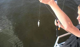 Hengelen vanaf de boot in Friesland tijdens een vaar-vis-vakantie