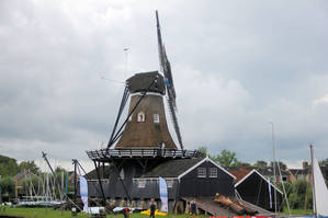 Boomzagerij in Friesland