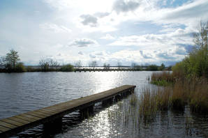 Weids uitzicht over het open Friese water.jpg