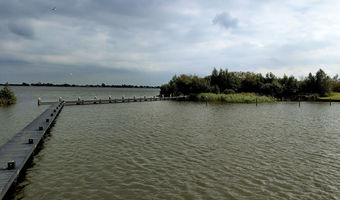 Steigers bij het eiland Marchjepolle in het Tsjûkemar