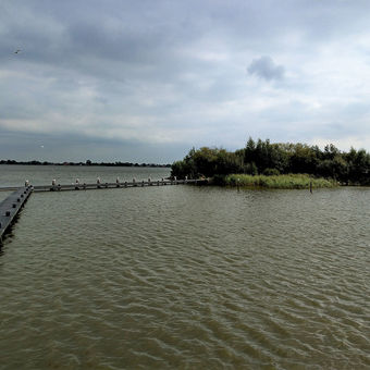 Steigers bij 't eiland Marchjepolle