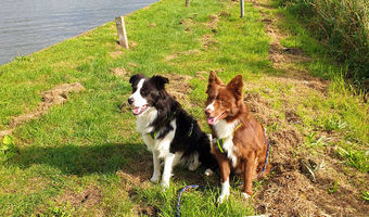 Wat mooi dat uitzicht