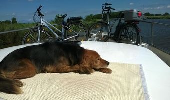 Ik ben mede reiziger nummer 5, niet storen, ben aan het zonnebaden