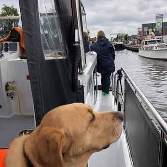 Alles is nieuw en anders dan thuis