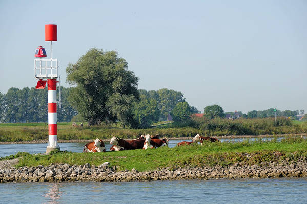 Bij de Spooldersluis naar de IJssel.jpg