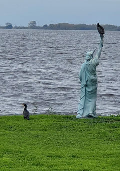'Het vrijheidsbeeld' in het klein in ons land