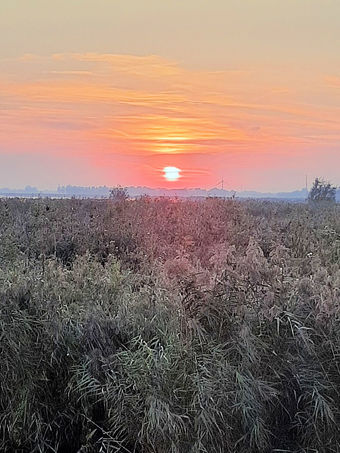 Een boot huren in Overijssel vanaf de grens met Friesland