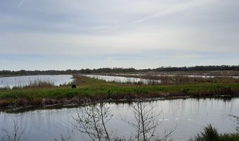 Mistnevels over het water