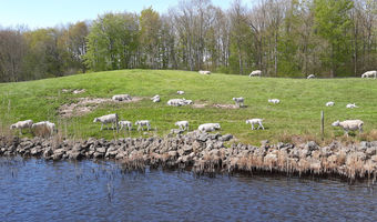 Over de IJssel met weids uitzicht richting Zwolle