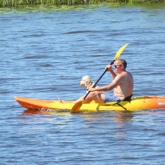 Uw hond mee tijdens de vaarvakantie