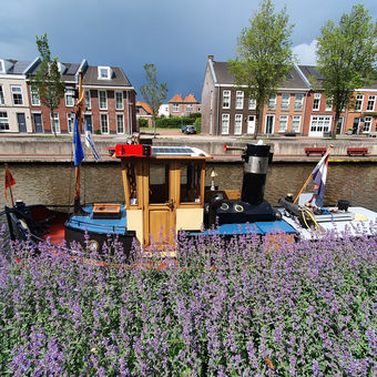 Stoombootje afgemeerd