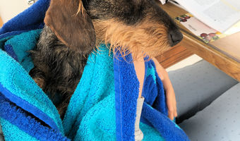 Ik heb het een beetje koud na het zwemmen