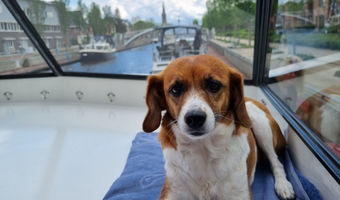 Poseren voor de camera