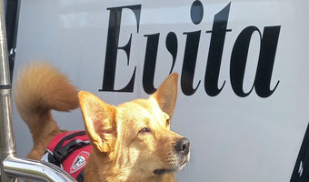 Bootshond Mick, fotomodel aan boord van de Evita